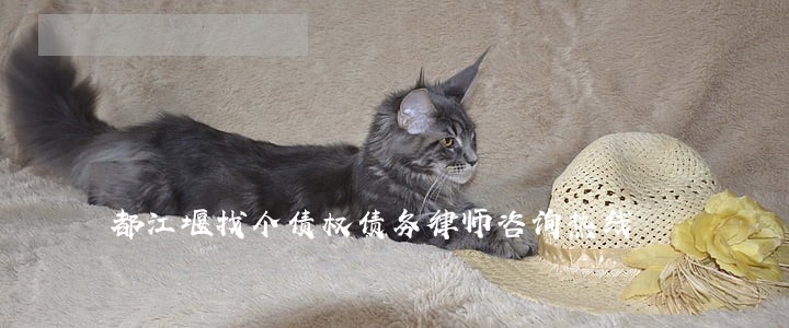都江堰找个债权债务律师咨询热线 都江堰找个债权债务律师咨询热线