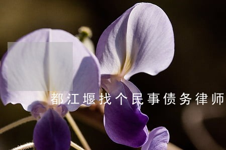 都江堰找个民事债务律师免费咨询 都江堰找个民事债务律师免费咨询