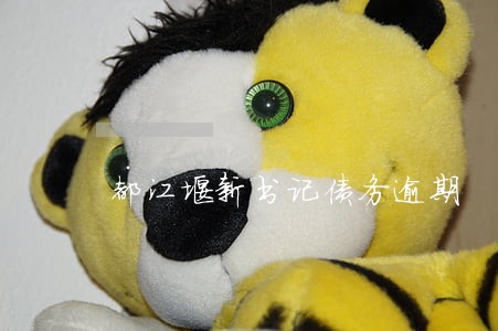 都江堰新书记债务逾期 都江堰新书记债务逾期