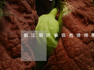 都江堰民事债务律师哪个好 都江堰民事债务律师哪个好
