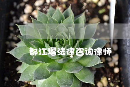 都江堰法律咨询律师 都江堰法律咨询律师