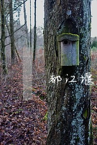 都江堰法律援助中心位置 都江堰法律援助中心位置
