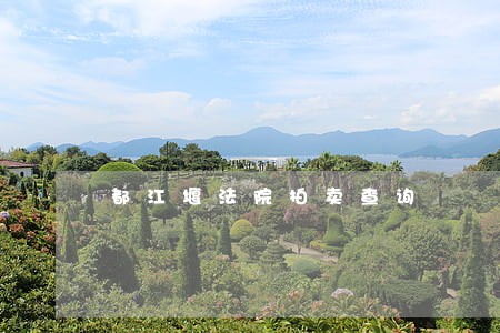都江堰法院拍卖查询 都江堰法院拍卖查询