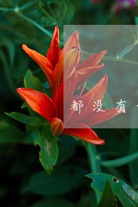 都没有借款收到逾期短信怎么处理 都没有借款收到逾期短信怎么处理