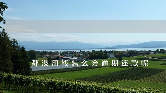 都没用钱怎么会逾期还款呢 都没用钱怎么会逾期还款呢