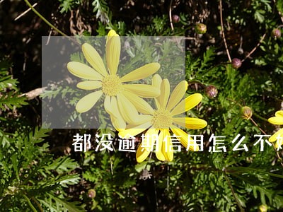 都没逾期信用怎么不好了