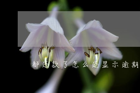 都还款了怎么还显示逾期啊 都还款了怎么还显示逾期啊