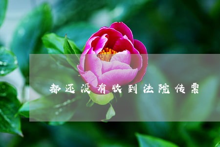 都还没有收到法院传票 都还没有收到法院传票