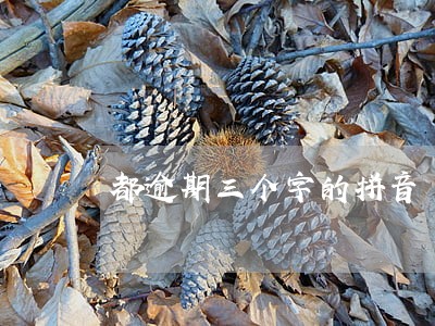 都逾期三个字的拼音 都逾期三个字的拼音