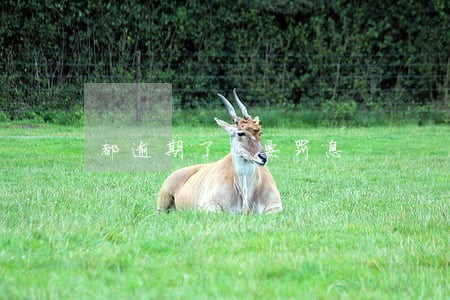都逾期了还要罚息 都逾期了还要罚息