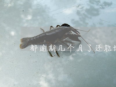 都逾期几个月了还能协商吗 都逾期几个月了还能协商吗