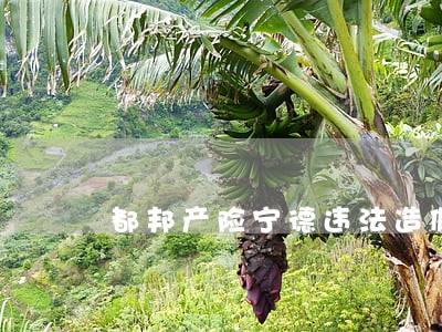 都邦产险宁德违法造假客户信息 都邦产险宁德违法造假客户信息