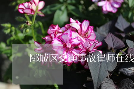 郾城区交通事故律师在线免费咨询 郾城区交通事故律师在线免费咨询