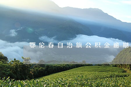 鄂伦春自治旗公积金逾期 鄂伦春自治旗公积金逾期