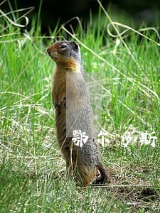 鄂尔多斯专业刑事律师 鄂尔多斯专业刑事律师