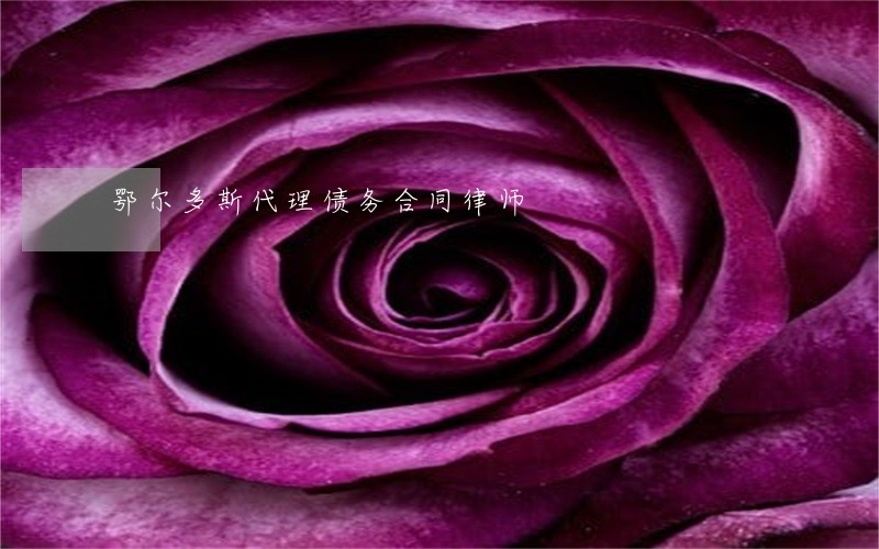 鄂尔多斯代理债务合同律师 鄂尔多斯代理债务合同律师