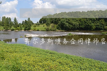 鄂尔多斯债务合同律师咨询 鄂尔多斯债务合同律师咨询