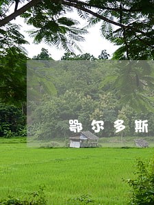 鄂尔多斯厉害的债务执行律师 鄂尔多斯厉害的债务执行律师