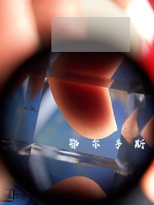 鄂尔多斯地区债务律师多少钱 鄂尔多斯地区债务律师多少钱