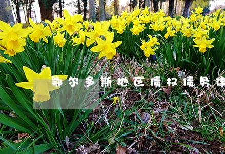 鄂尔多斯地区债权债务律师多少钱 鄂尔多斯地区债权债务律师多少钱