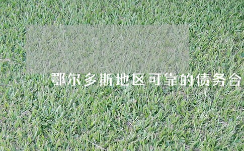 鄂尔多斯地区可靠的债务合同律师 鄂尔多斯地区可靠的债务合同律师