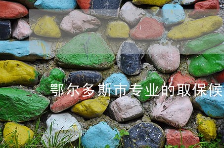 鄂尔多斯市专业的取保候审律师 鄂尔多斯市专业的取保候审律师