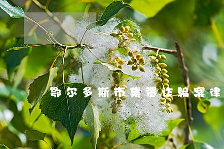 鄂尔多斯市集资诈骗案律师哪里找 鄂尔多斯市集资诈骗案律师哪里找