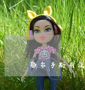 鄂尔多斯有没有好的律师 鄂尔多斯有没有好的律师