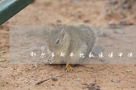 鄂尔多斯本地取保候审律师 鄂尔多斯本地取保候审律师