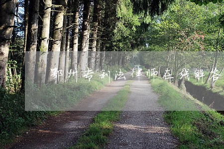 鄂州专利法律师在线解答 鄂州专利法律师在线解答