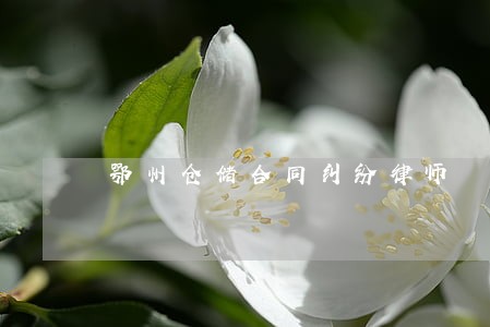 鄂州仓储合同纠纷律师 鄂州仓储合同纠纷律师