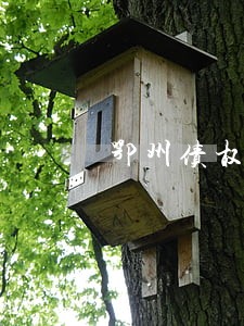 鄂州债权债务律师