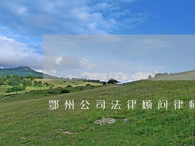 鄂州公司法律顾问律师 鄂州公司法律顾问律师