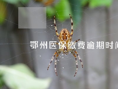鄂州医保缴费逾期时间多久 鄂州医保缴费逾期时间多久