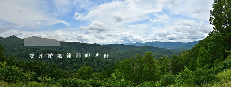 鄂州婚姻律师哪些好 鄂州婚姻律师哪些好