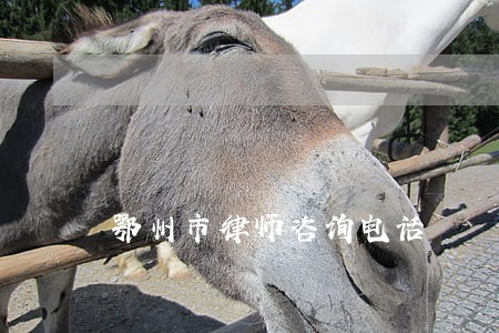 鄂州市律师咨询电话 鄂州市律师咨询电话
