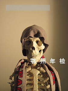 鄂州年检逾期一个月以内 鄂州年检逾期一个月以内