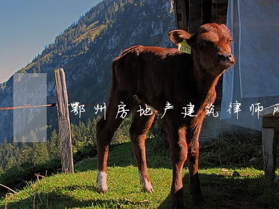 鄂州房地产建筑律师网 鄂州房地产建筑律师网