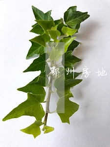 鄂州房地产律师电话 鄂州房地产律师电话