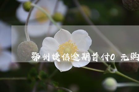鄂州捷信逾期首付0元购 鄂州捷信逾期首付0元购