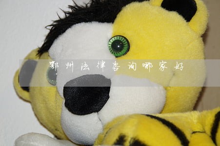鄂州法律咨询哪家好 鄂州法律咨询哪家好