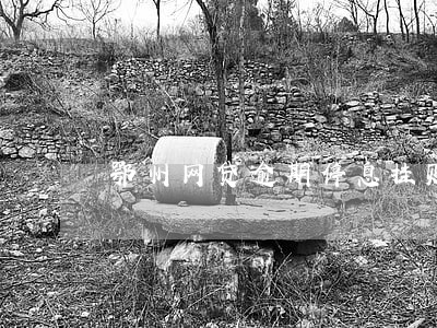 鄂州网贷逾期停息挂账申请条件 鄂州网贷逾期停息挂账申请条件