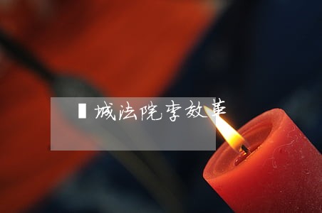 鄄城法院李效革 鄄城法院李效革