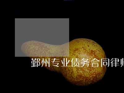 鄞州专业债务合同律师诉讼费 鄞州专业债务合同律师诉讼费