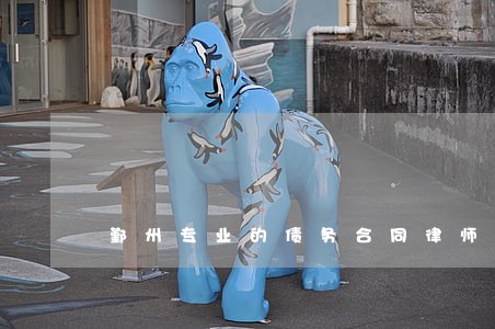 鄞州专业的债务合同律师哪家强 鄞州专业的债务合同律师哪家强