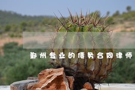 鄞州专业的债务合同律师收费 鄞州专业的债务合同律师收费