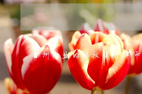 鄞州专业的债权债务律师怎么委托 鄞州专业的债权债务律师怎么委托