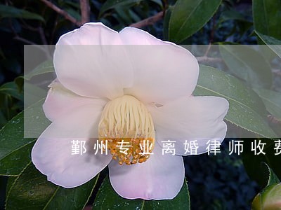 鄞州专业离婚律师收费 鄞州专业离婚律师收费