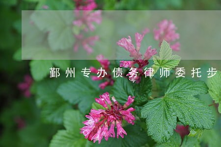 鄞州专办债务律师委托步骤 鄞州专办债务律师委托步骤