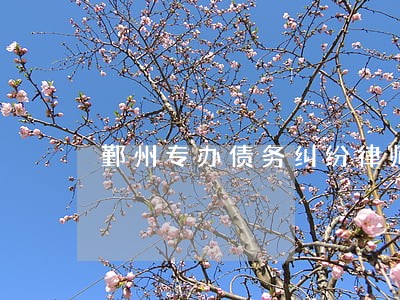 鄞州专办债务纠纷律师找谁好 鄞州专办债务纠纷律师找谁好